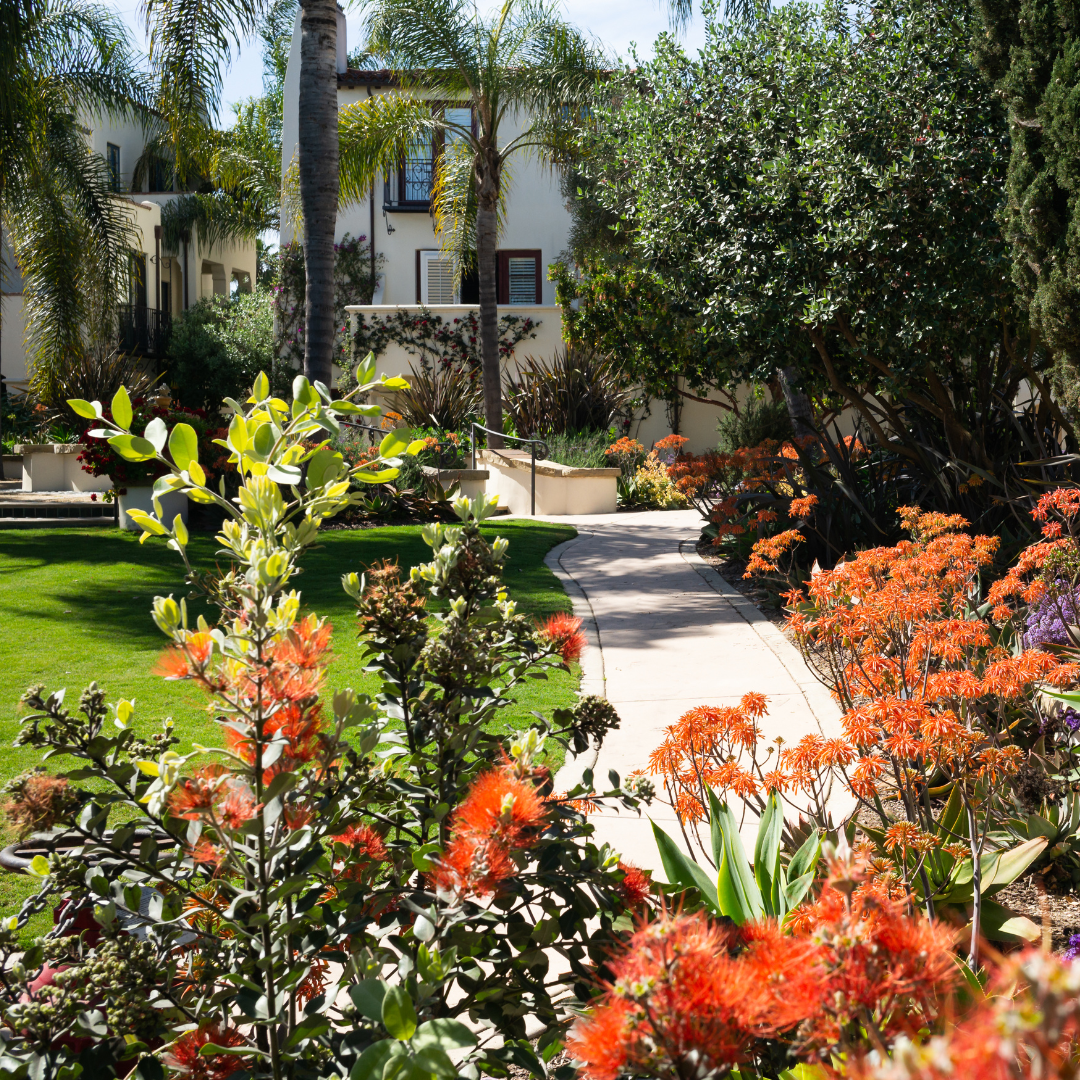 How Smart Landscaping Reduces Your Maintenance Costs | Octo Property Services | San Diego, CA