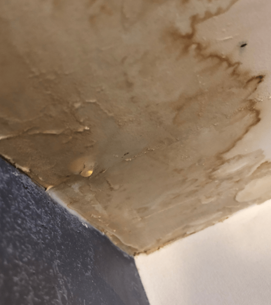 Water damage stained ceiling with dripping water droplet.