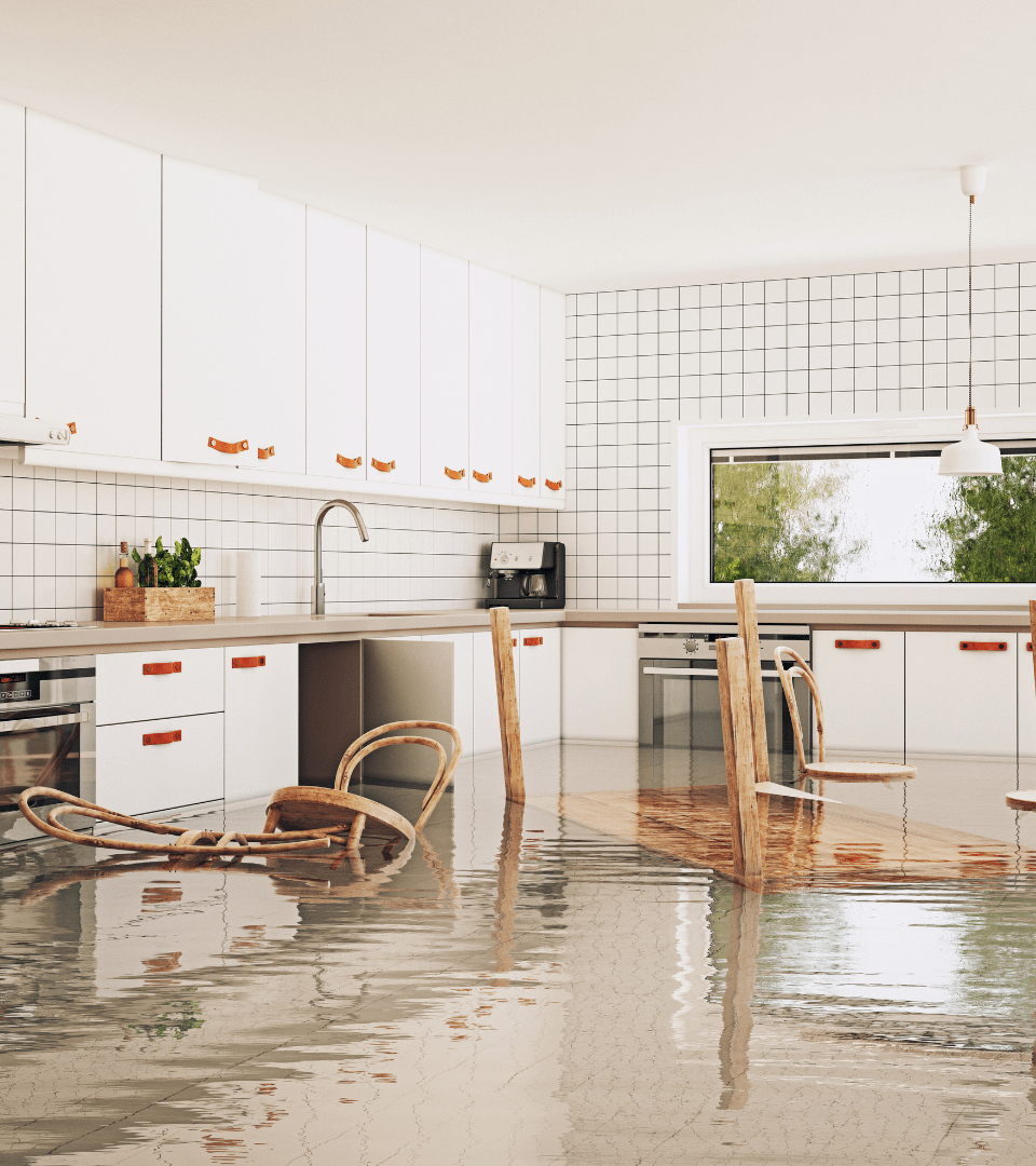 Preparing for the Rain How to Protect Your San Diego Home from Water Damage | Octo Property Services | San Diego, CA